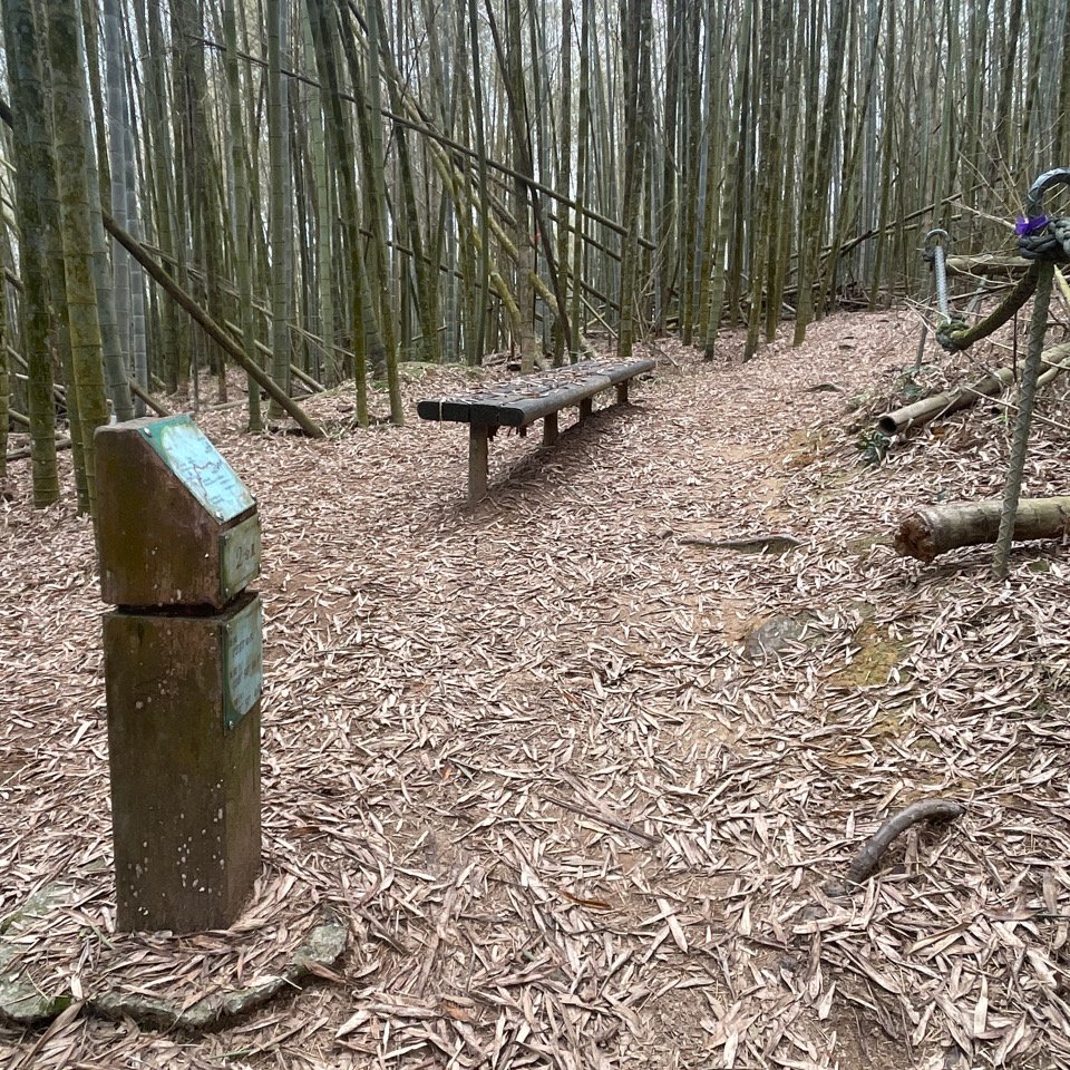 水社大山_2117965