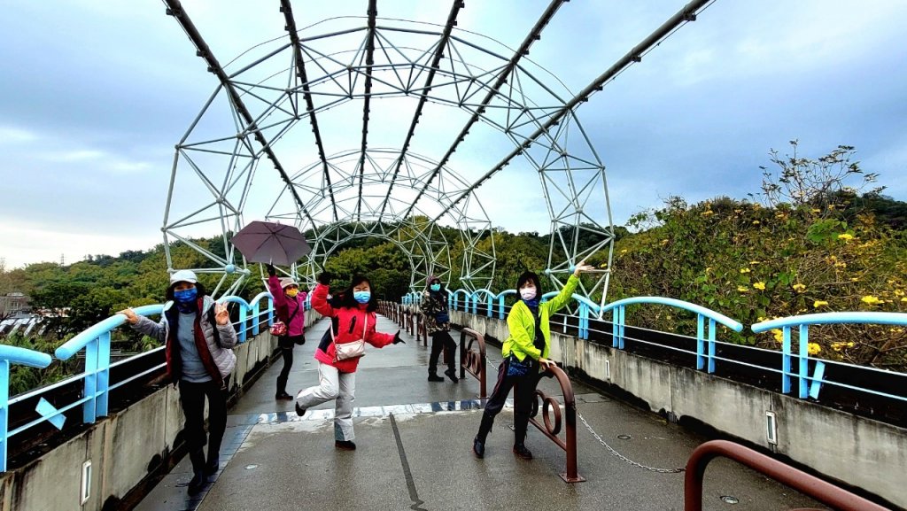 【小百岳集起來】#046 阿罩霧山 H249m, 二等三角點 #1136_1617199