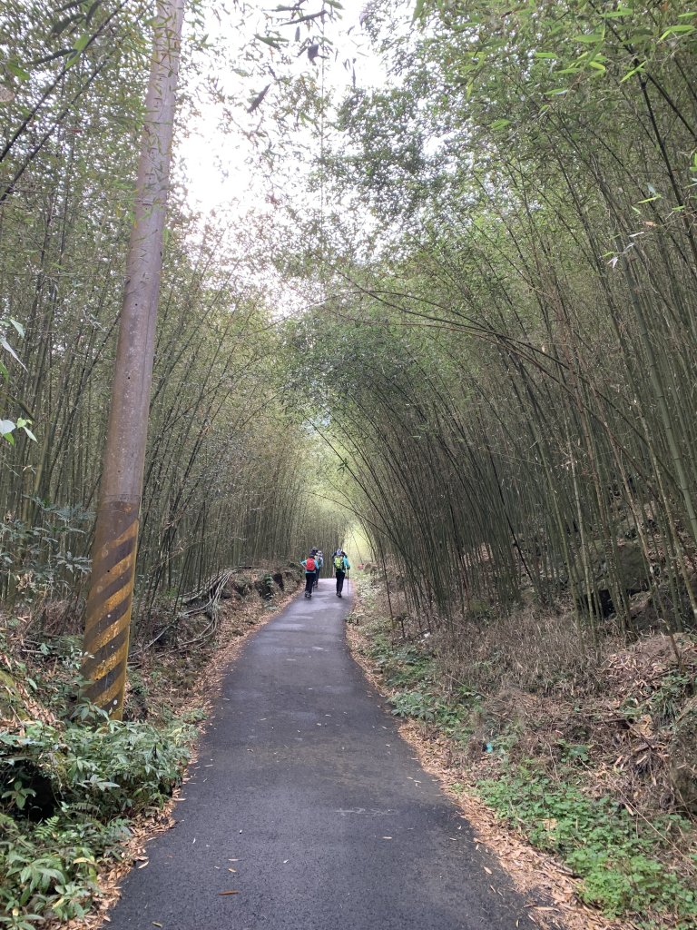 20240330台南雞九凍-雞胸山縱走_2469974