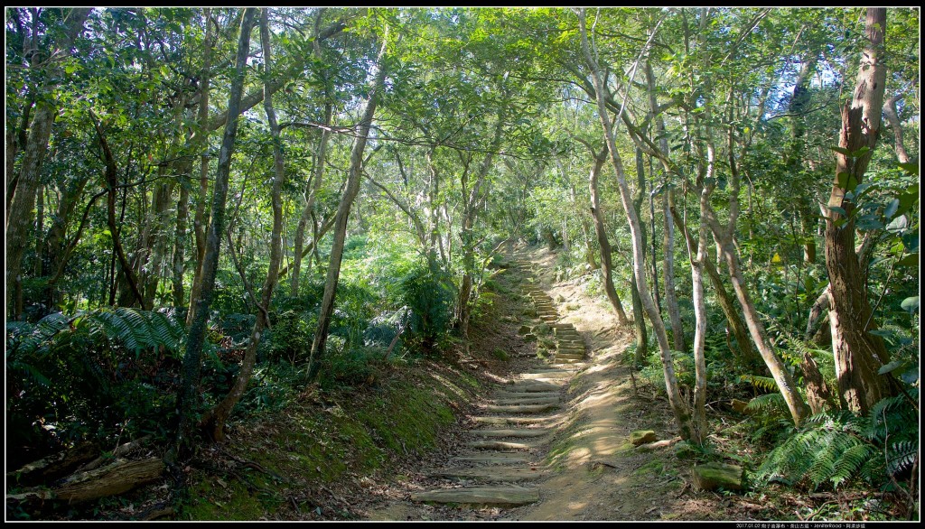 炮子崙瀑布、茶山古道_241550