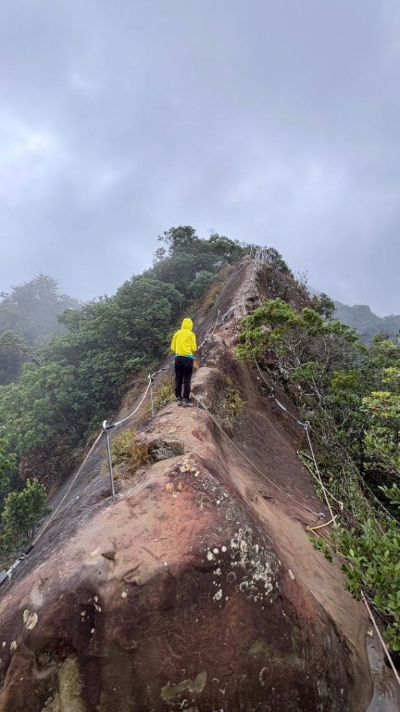 迎新（2026元旦_2975571