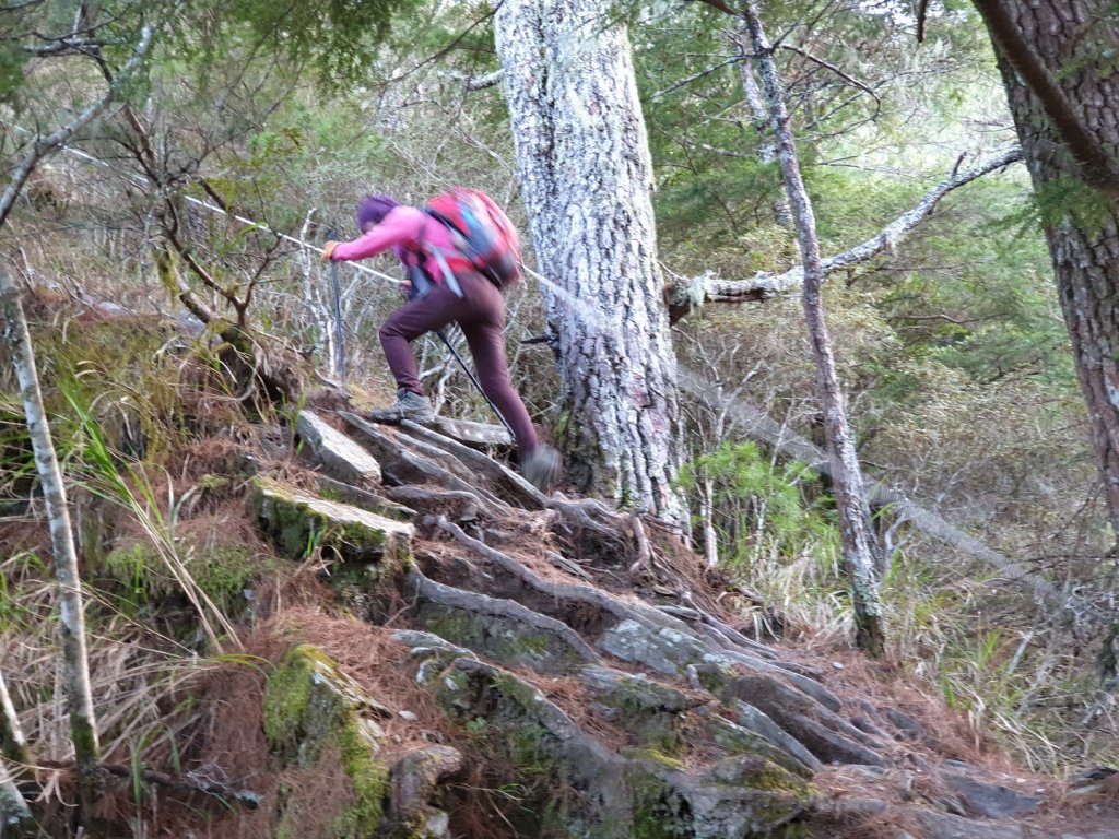 20190406畢祿山單攻_563754