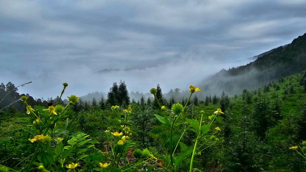 112.04.08 油羅山_2123526