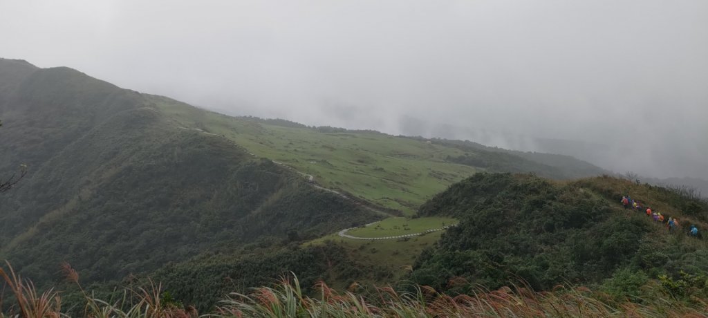 桃源谷，草嶺古道縱走_1902820