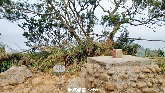 【苗栗三義】台灣百大必訪步道。 火炎山、南鞍古道O繞x火炎山下花海封面圖