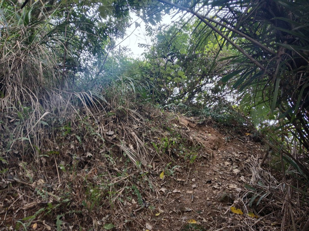 寶山鄉寶山水庫(寶山東峰+中峰+中西峰+西峰+西北峰)+尖山O型_3012501