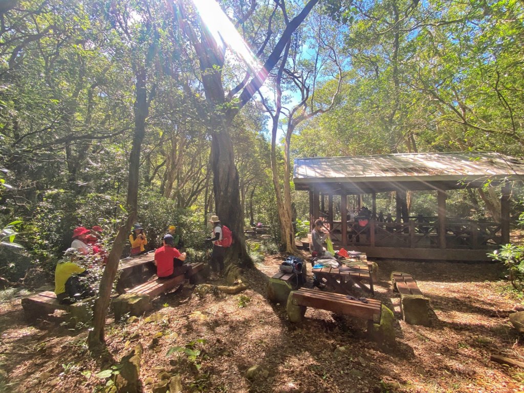 里龍山 悠遊山徑-溪谷-欣賞海天一色美景_1486182