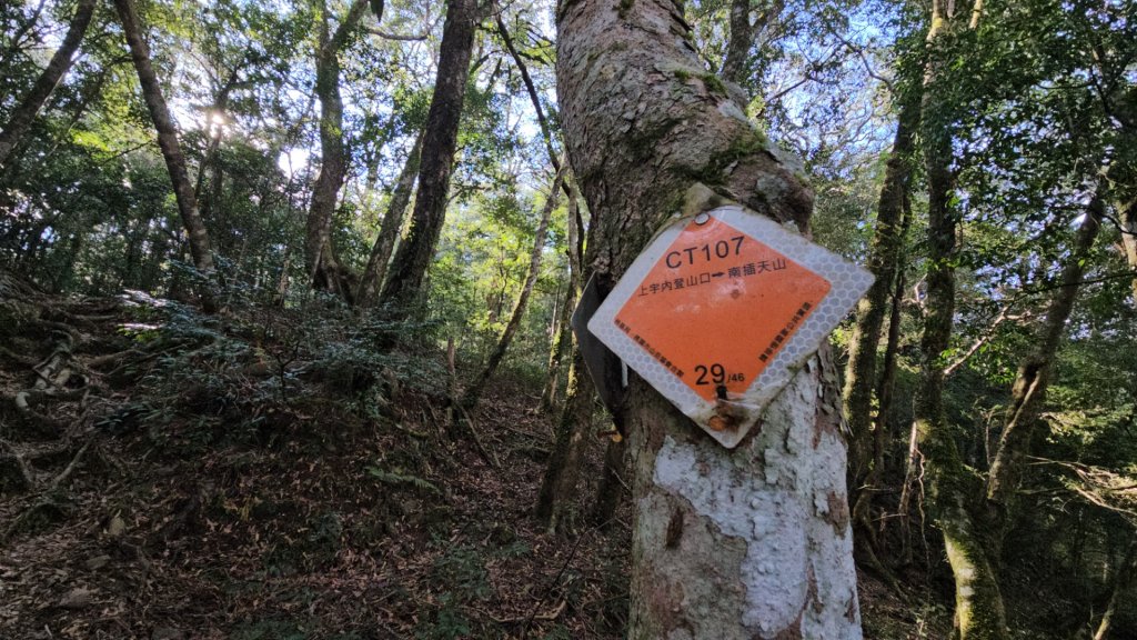 20260118南插天山.魯培山.上宇內山(南插北峰)_2989761