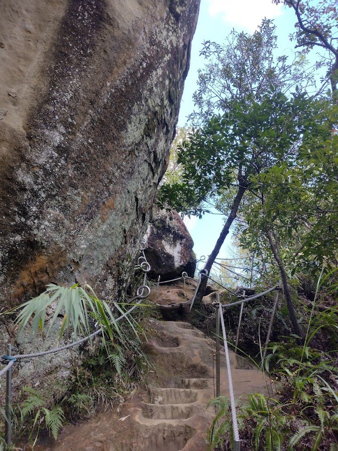 2022 3/9 孝子山登山步道_1636948
