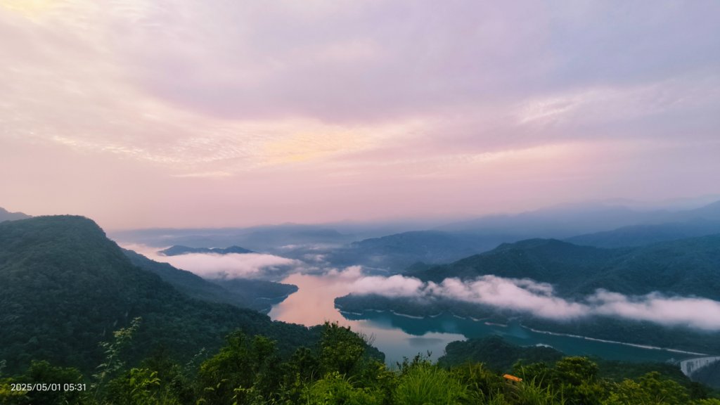 翡翠水庫壩頂 #火燒雲雲海 #日出雲海 #鱷魚島 #藍腹鷴 4/29_2773777