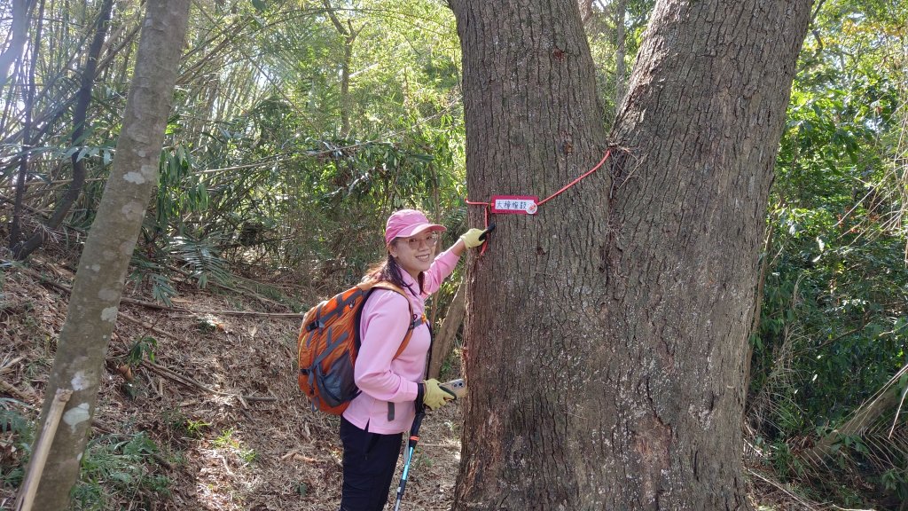 (姨婆趴趴走)第四十五集:新竹竹東三山（新具庄山、樹杞林山、員崠子山）環狀縱走_2662275