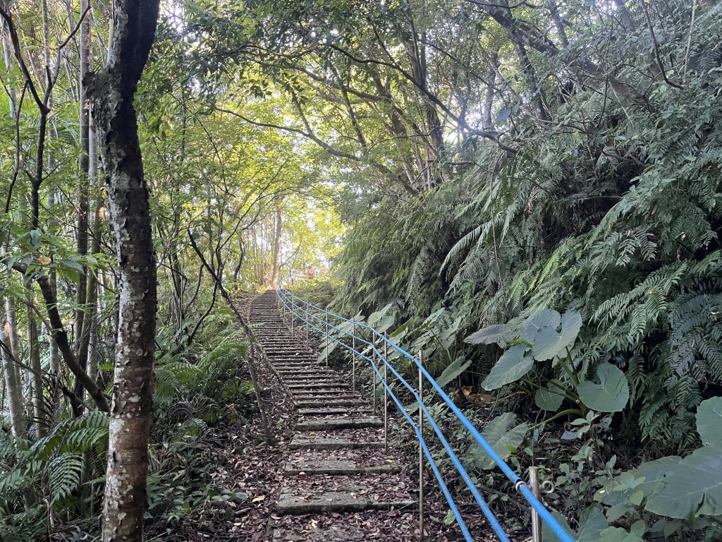 [微笑山線_第九段] 2025_0914 二格山系_皇帝殿東峰_2889462