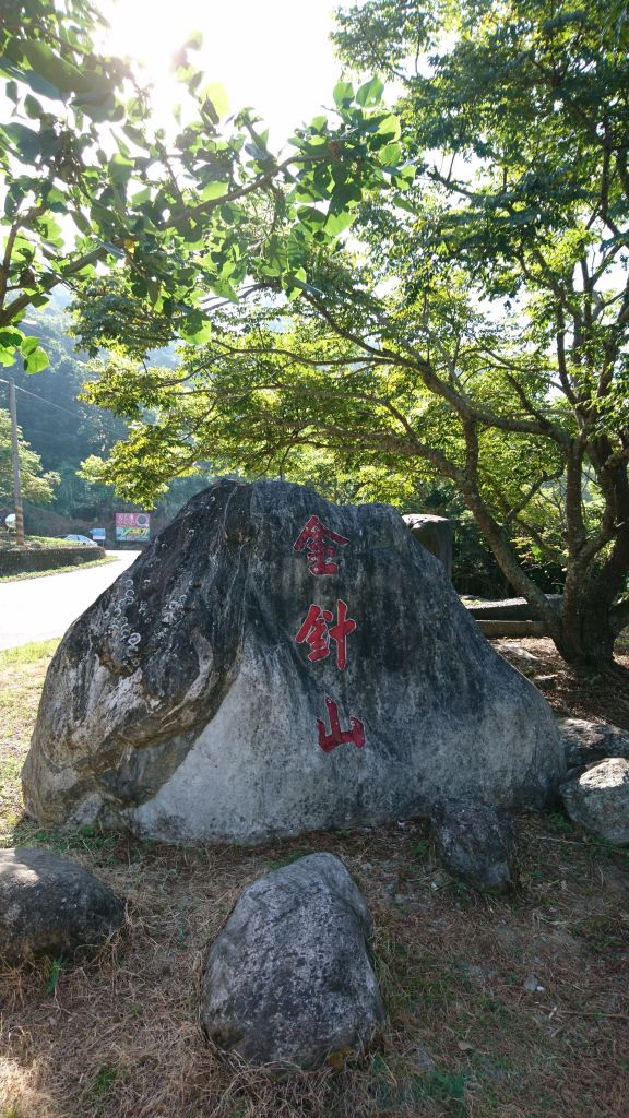 太麻里金針山_381961