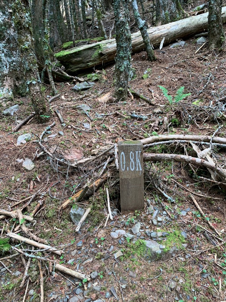 雪山主東北下翠池｜4天4夜｜北稜角上雪北｜聖稜線Y型縱走｜拜訪童話夢幻小屋｜入門C+級縱走_2088089