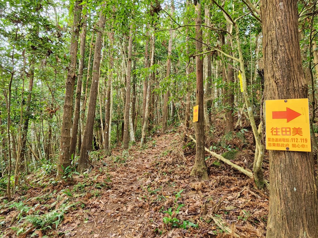20240203番婆石山與橫屏山東峰_2450402