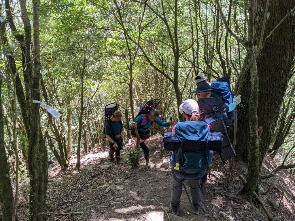 五星級的松針營地之特辣屏風山_1480281