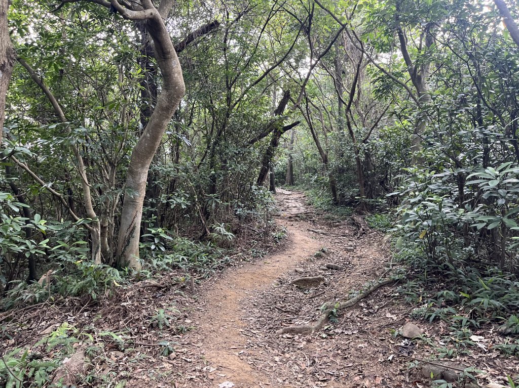 2024_0804 文間山_2566394