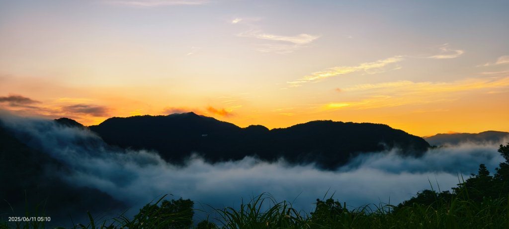 跟著雲海達人山友追雲趣 #草莓月亮 #月圓雲海 #霞光 #日出雲海 #茶園 6/11_2808783