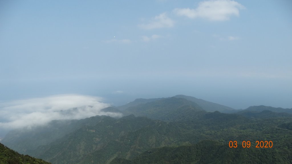 九份雲海2020 II_873014