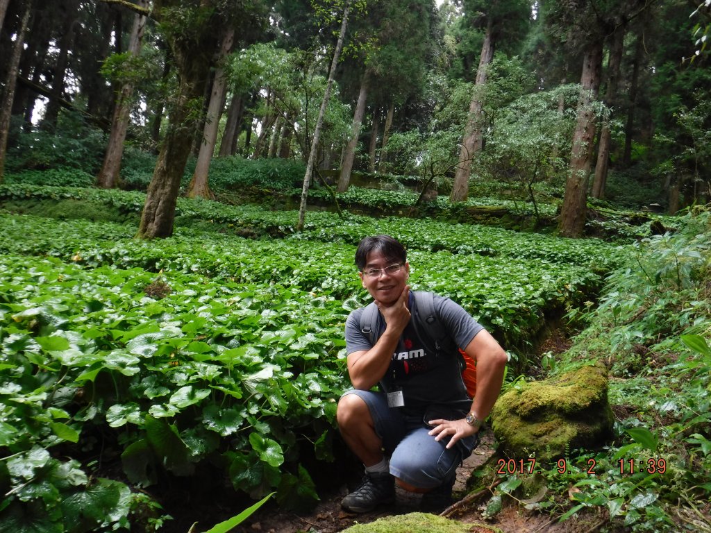 20170902_屏遮那山二萬坪_868231