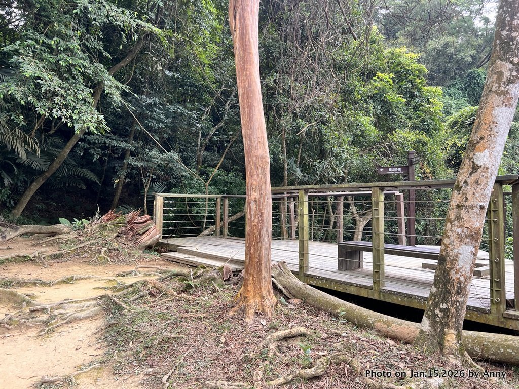 【新竹＋苗栗】猿獅縱走_2989060