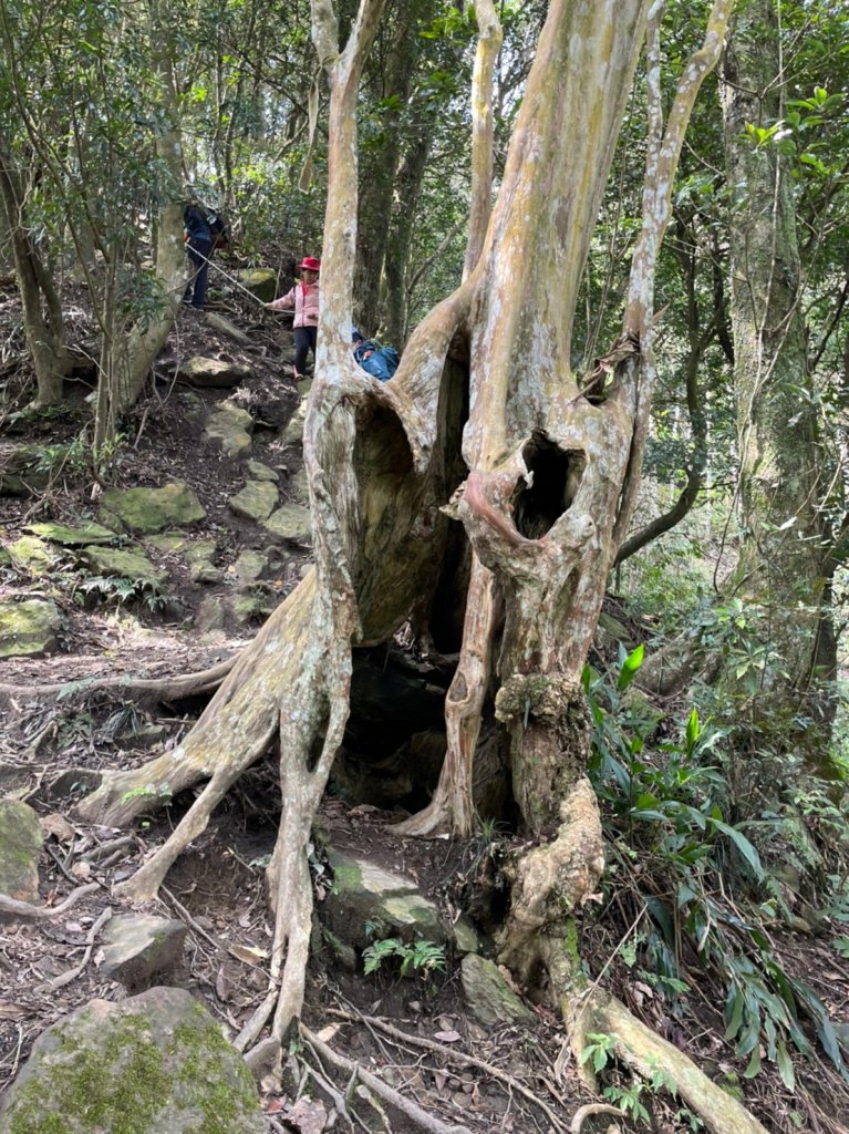 小百岳No.033仙山_1635434