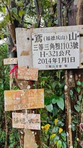 鳶山（福德坑山）封面圖