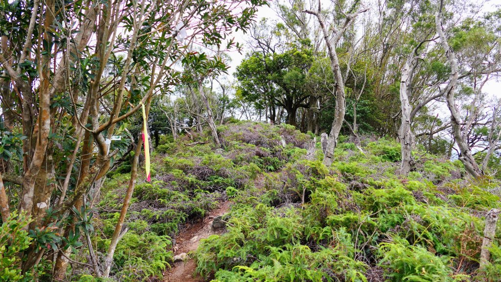 三層崎的呢喃_2692191