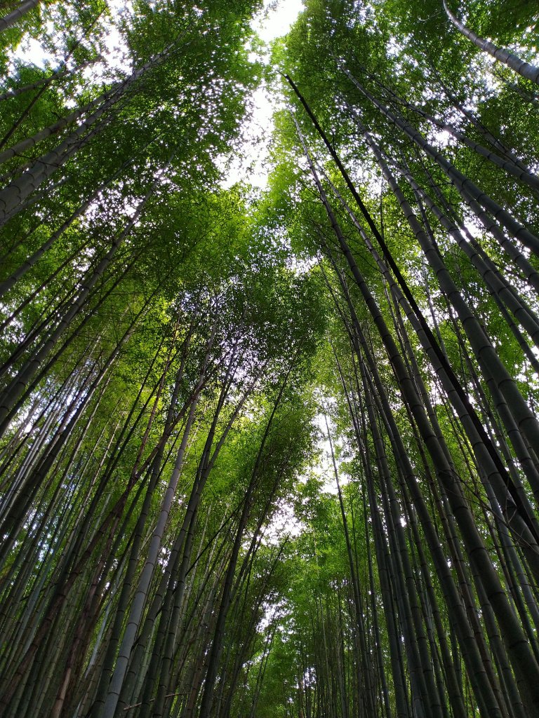 2021-10-11 霞之道上霹靂山_1491616