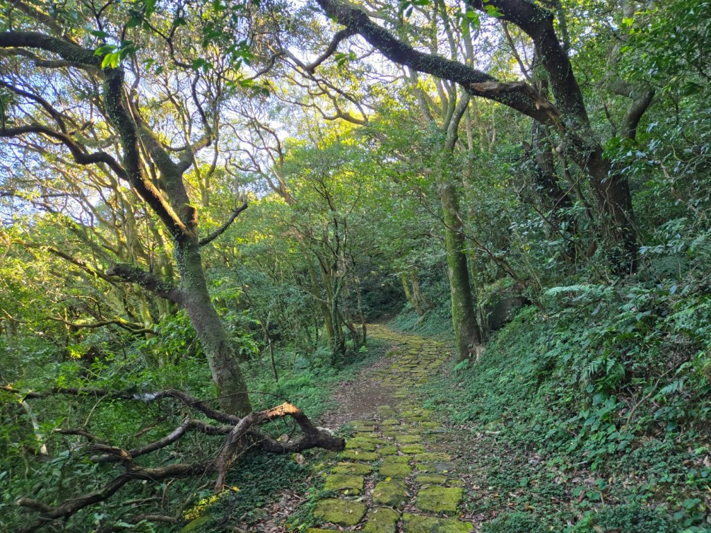 大屯主峰-連峰步道環形（小百岳）_2904313