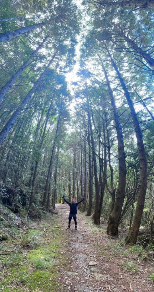 🥵20231107南一段會繞過🤷忘記的溪南山_2340066