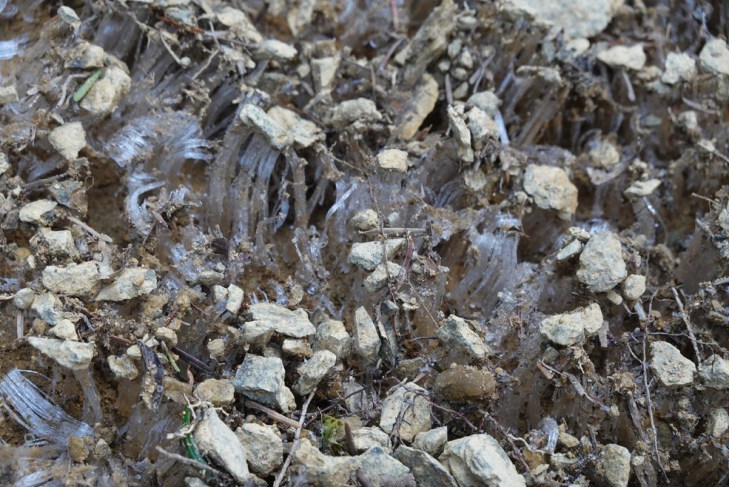 熊野古道小邊路.熊野三山_2485445