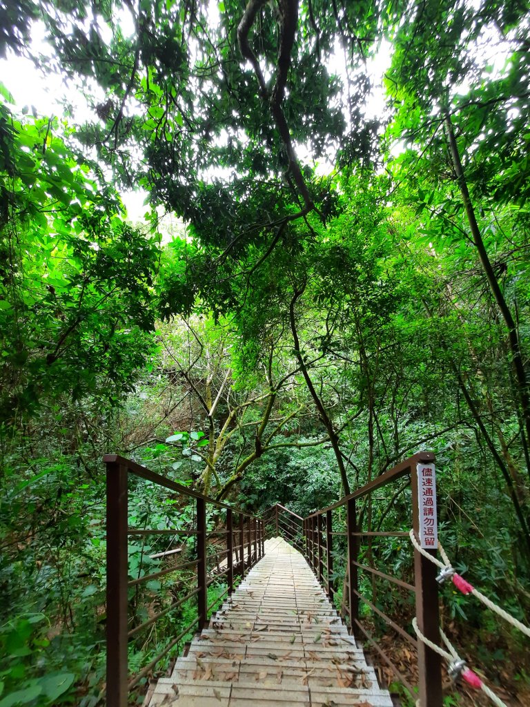 《彰化》桃源里森林步道、龍鳳谷森林步道_1047492