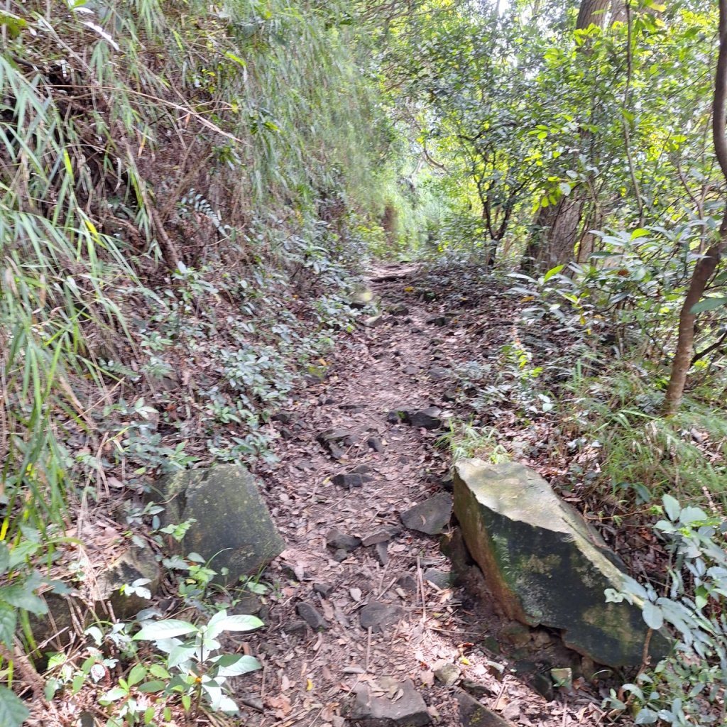 【2024觀音觀鷹尋寶任務】一日走完七條步道完成!_2508371