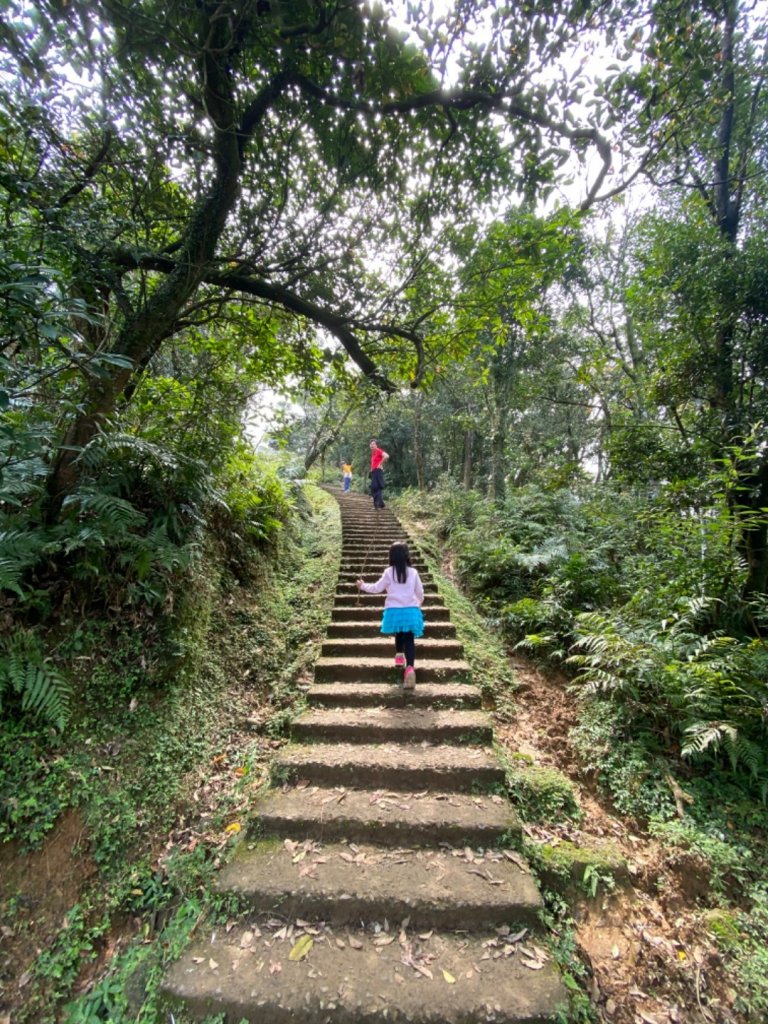 20200301桃源谷步道內寮線_868933