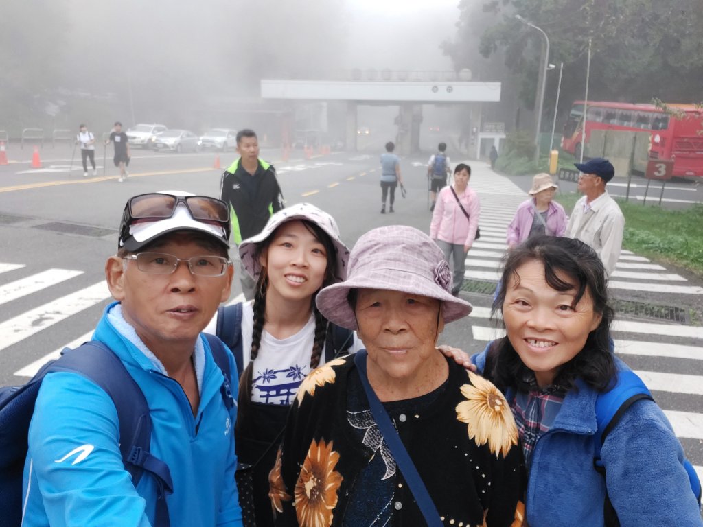 溪頭走出一片葉子_1156531