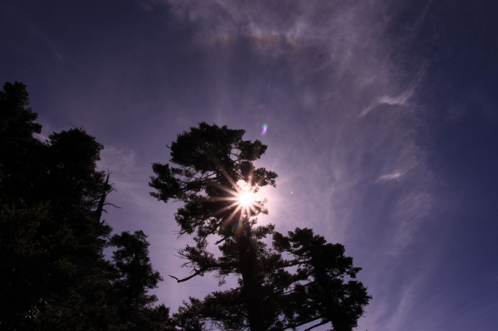 干卓萬群峰_174787