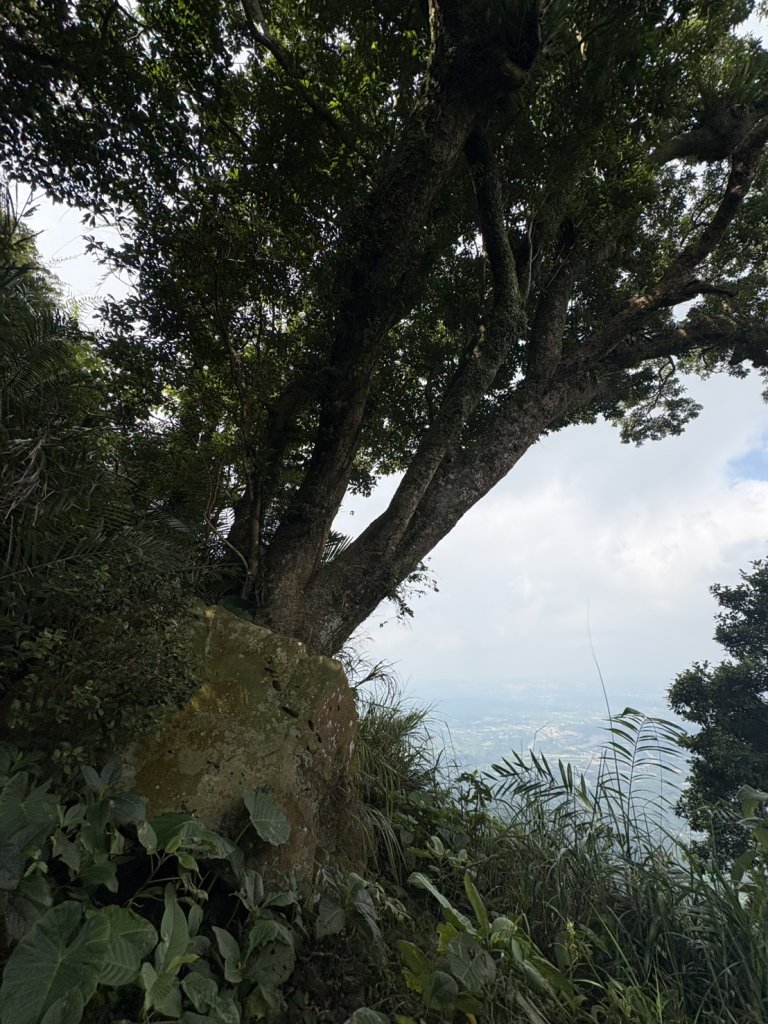 烏山縱走北段 雲山寺至刣牛湖山(途經風空子山.孟璋山.烏山.刣牛湖山北峰)_2928831