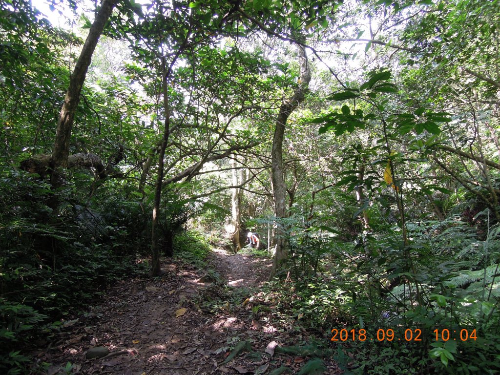 20180902_新山夢湖_851925
