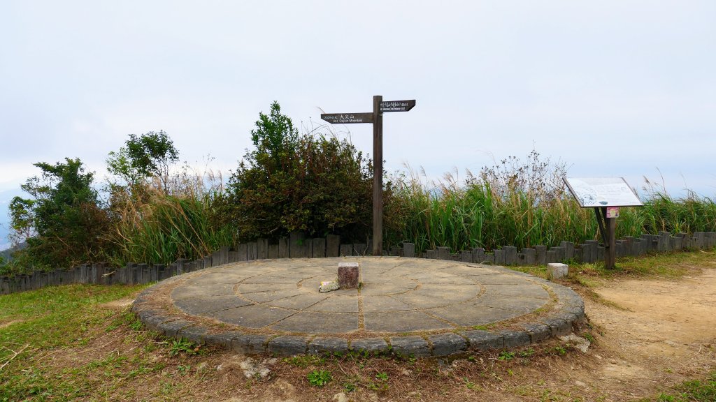 這裡怎麼有兔子還有藍腹鷴?_2663320