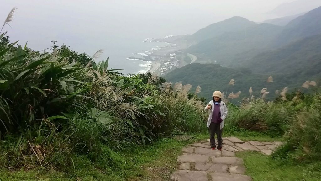 灣坑頭山-20171211封面圖