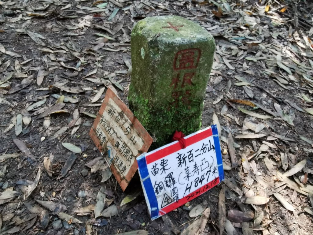 苗栗大湖的必訪步道：出關古道、馬那邦山 - 2022/2/6_1671958