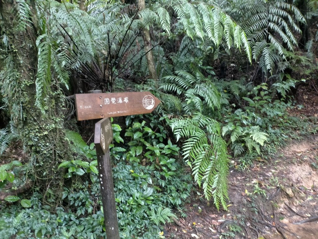 壹北大縱走第四段：風櫃嘴至大湖公園_2809579