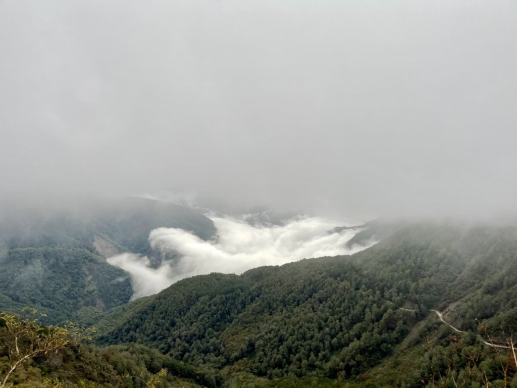 絕美銀白世界 玉山降下今年冬天「初雪」_1235988