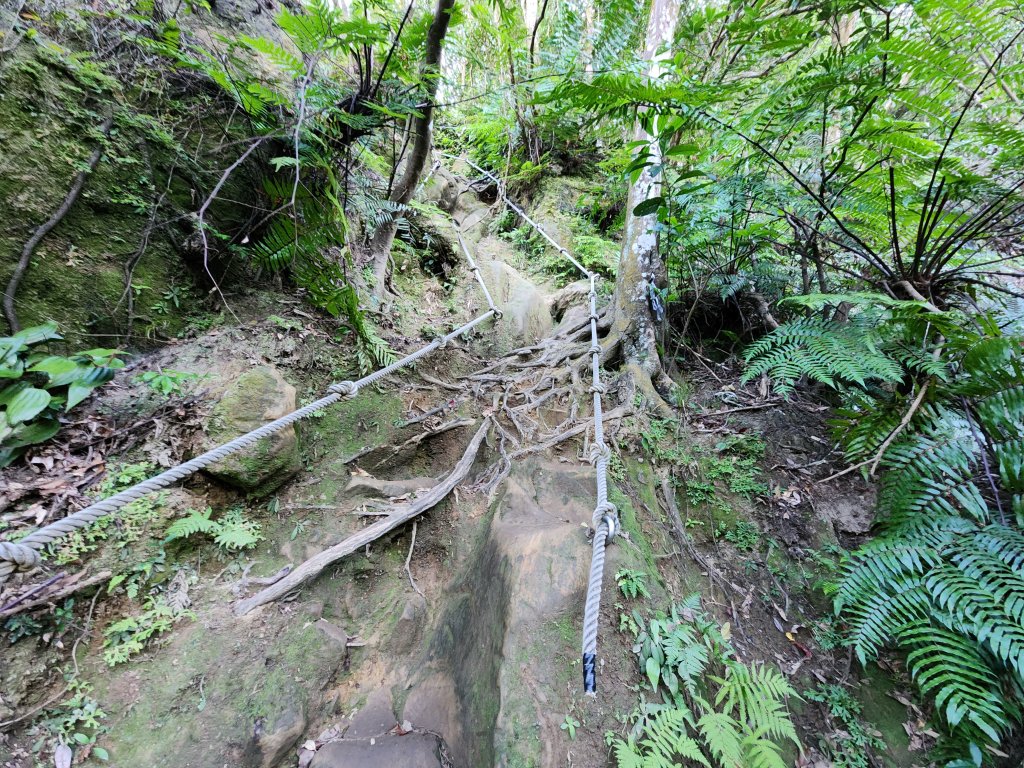 20240114指南宮站經猴山岳二格山鵝角格山至貓空站_2430781