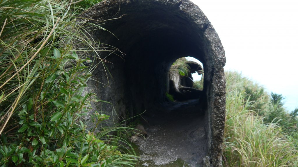 金瓜石黃金洞登山健行趣(郊山)_1519050