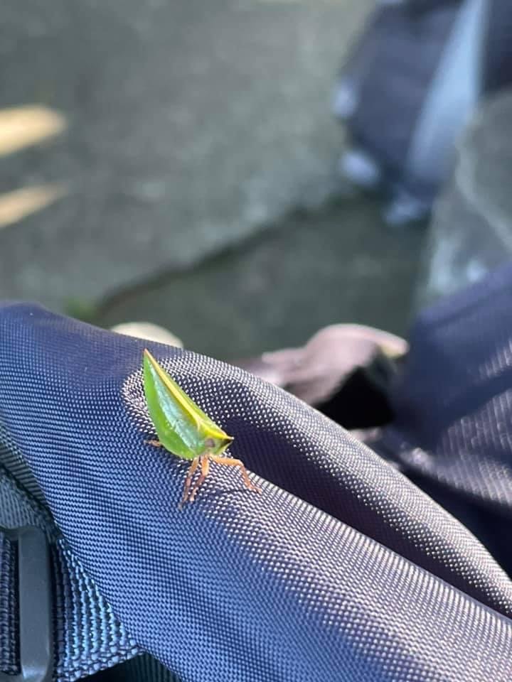 土城六秀_2612970