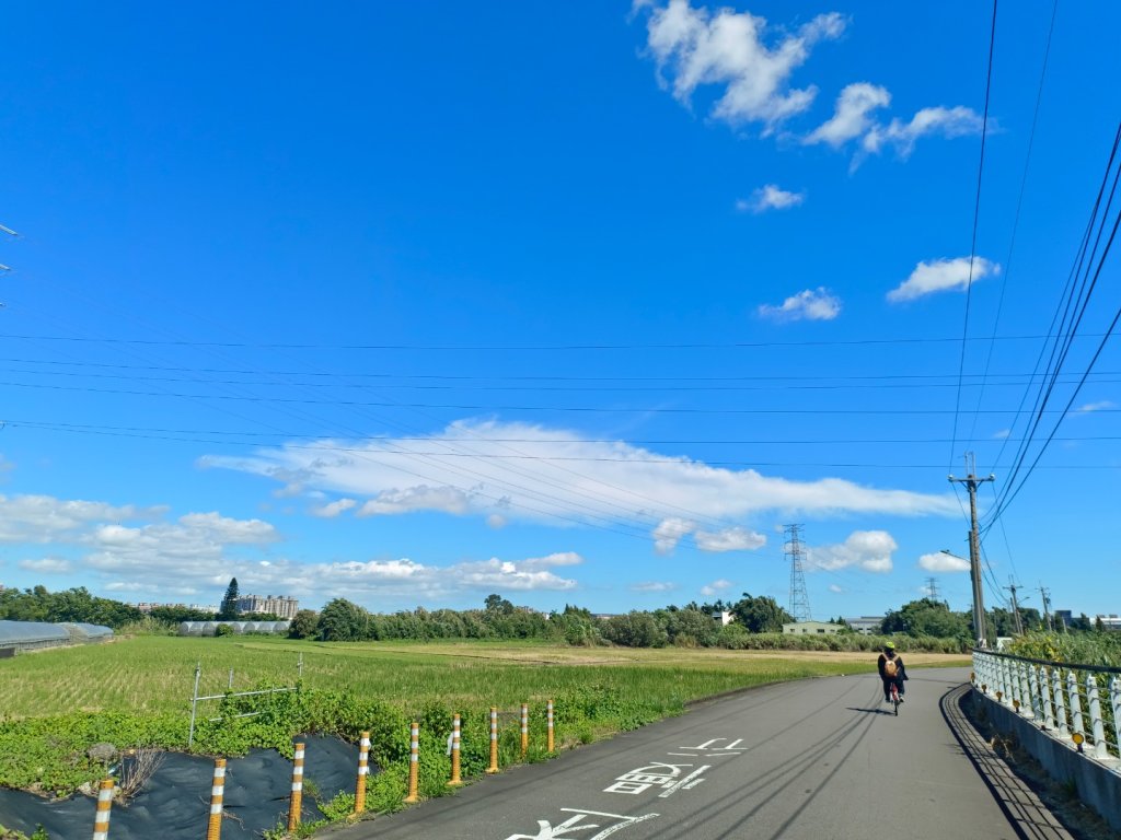 霄裡好風光封面圖