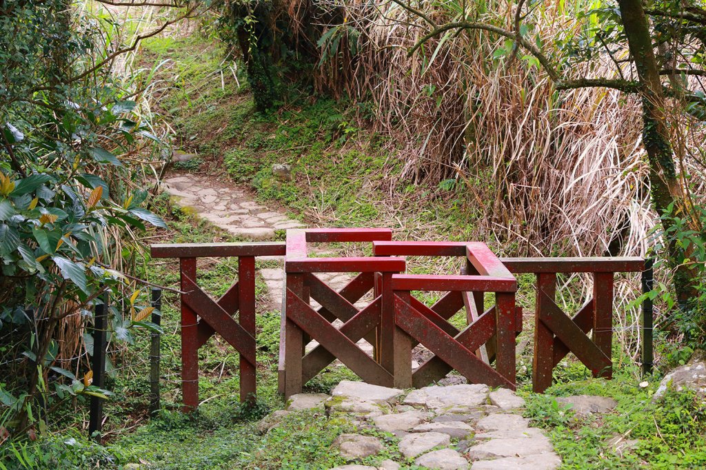 五指山支稜。東陽明山群峰_549891