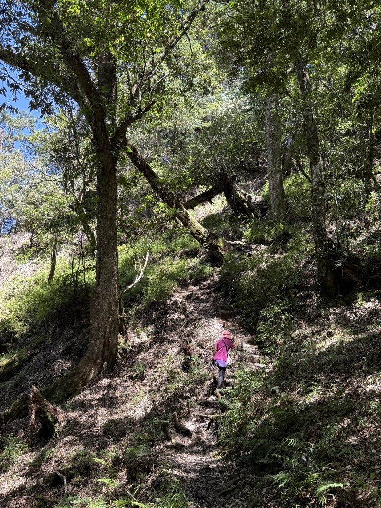 馬崙山 20250906_2889346